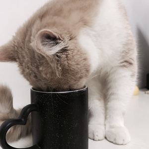 裸男老头XX性老头XX
